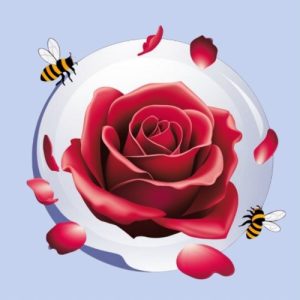 BALLON PETALE